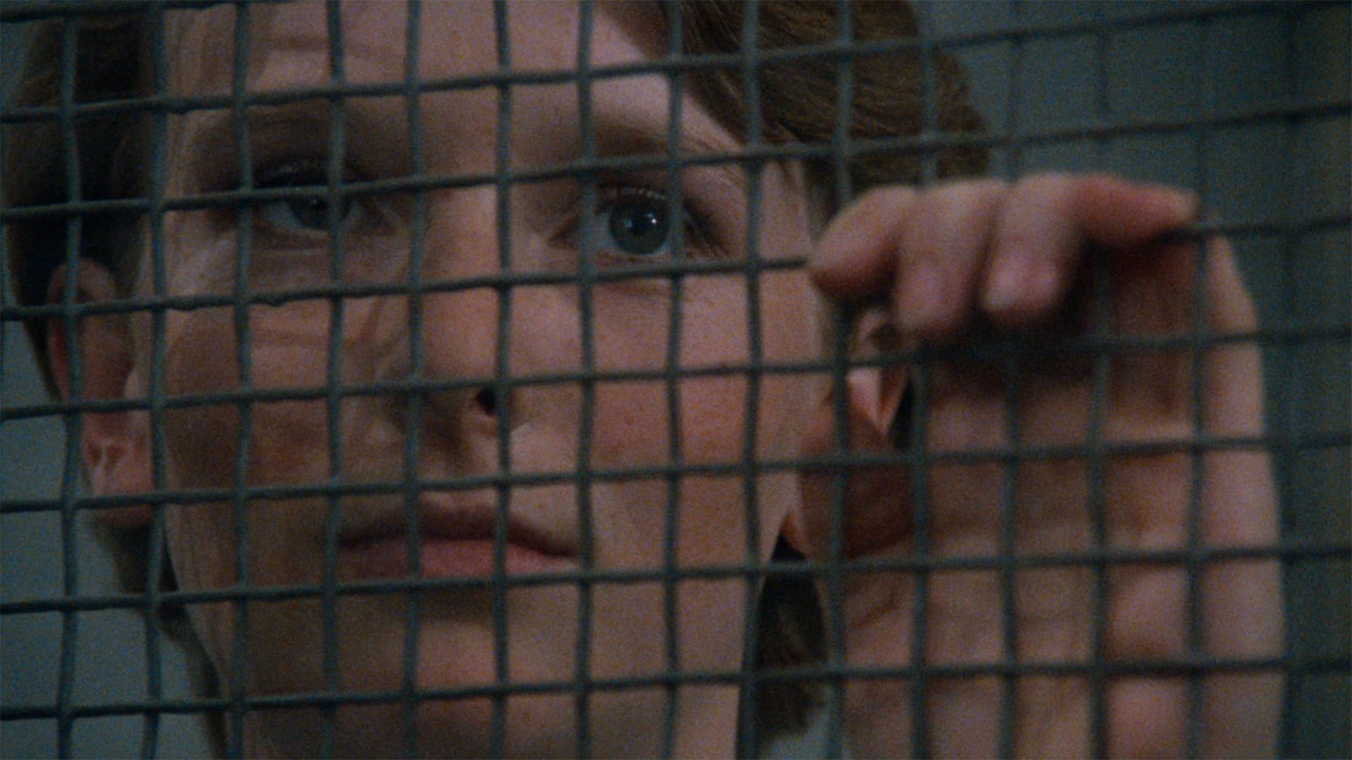 Sevgililerime Günce görsel 1